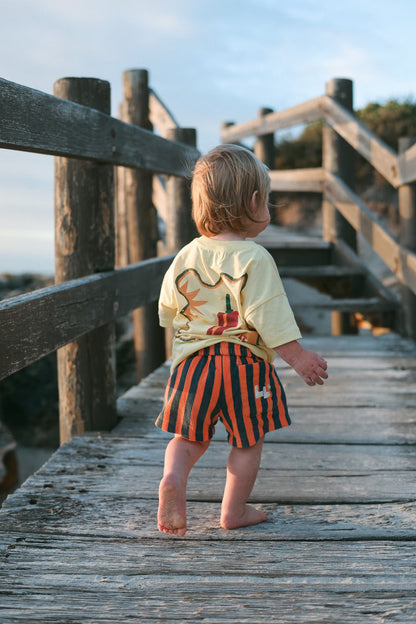 Navy blue and orange Zinger shorts, striped corduroy with embroidered back pocket.