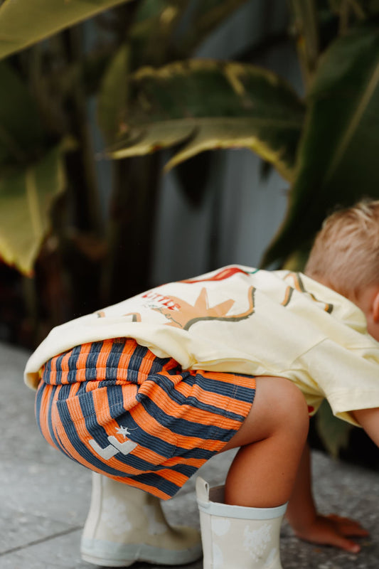 A close-up of the navy/orange Zinger shorts, showcasing the striped corduroy and the embroidered back pocket.