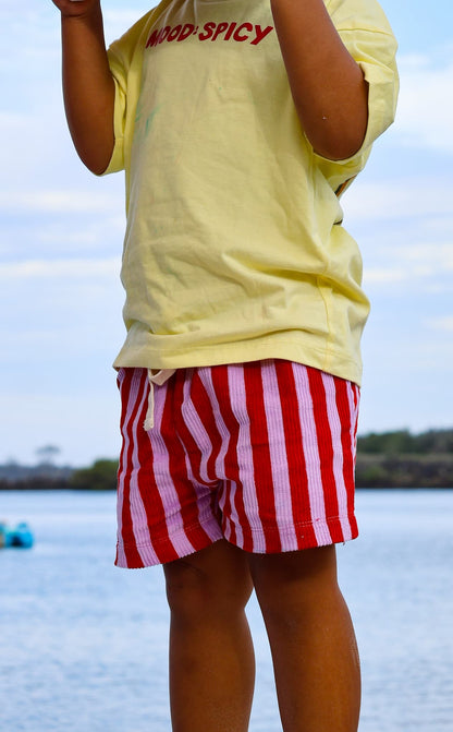 Child wearing a 'Mood Spicy' shirt and red and purple striped corduroy 'Zinger' shorts.